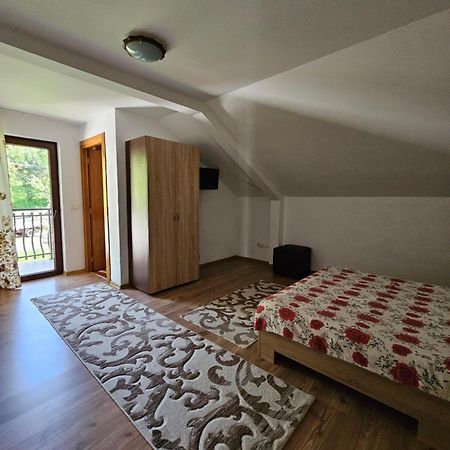 فيلا Casa Alba Borşa المظهر الخارجي الصورة