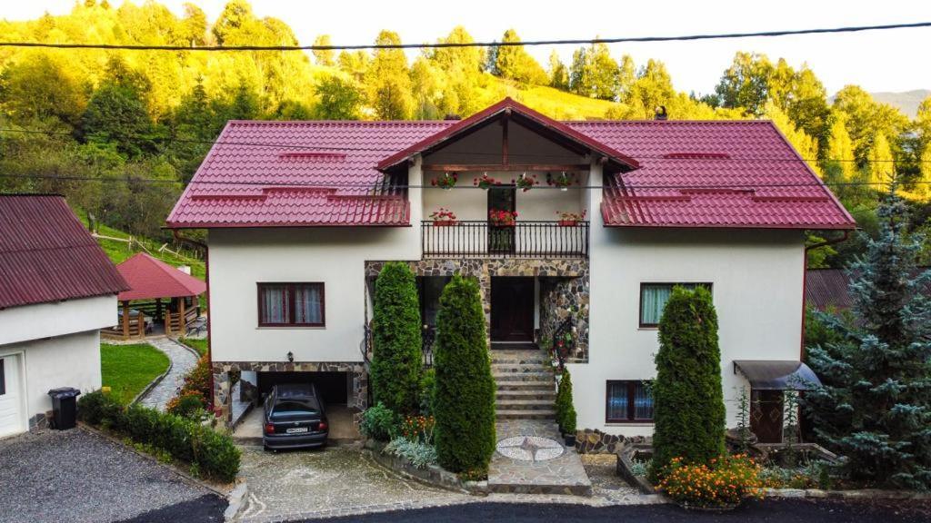 فيلا Casa Alba Borşa المظهر الخارجي الصورة
