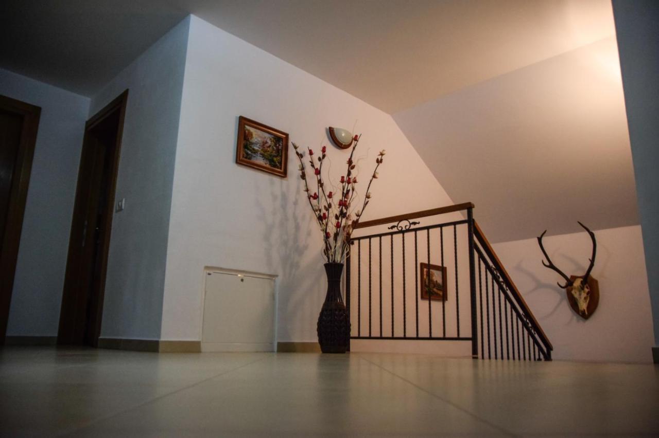 فيلا Casa Alba Borşa المظهر الخارجي الصورة