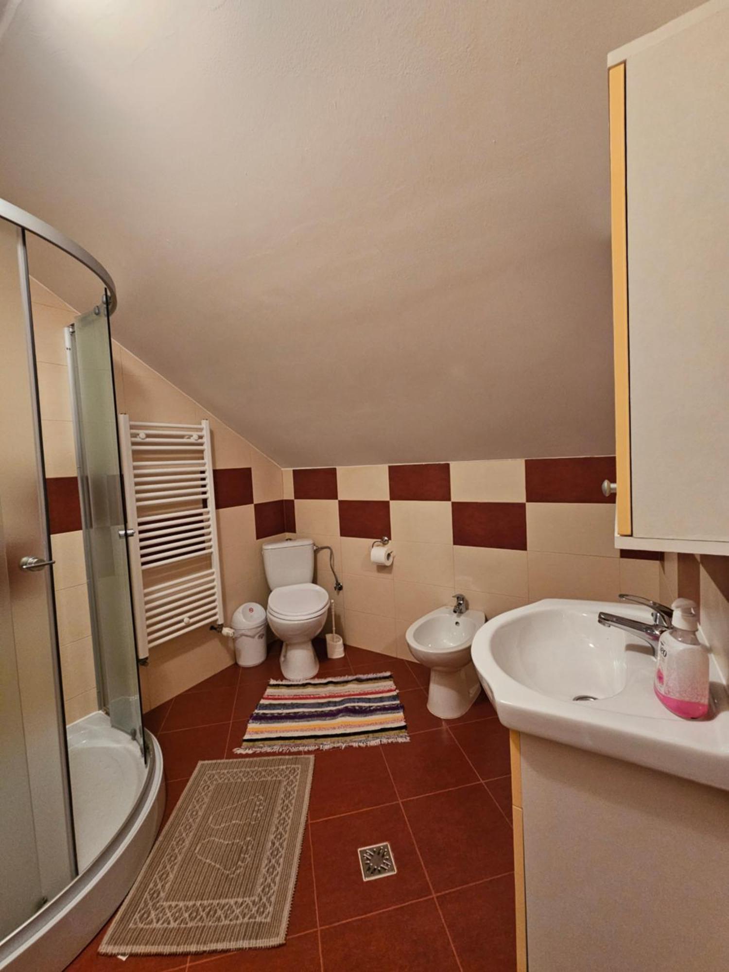 فيلا Casa Alba Borşa المظهر الخارجي الصورة