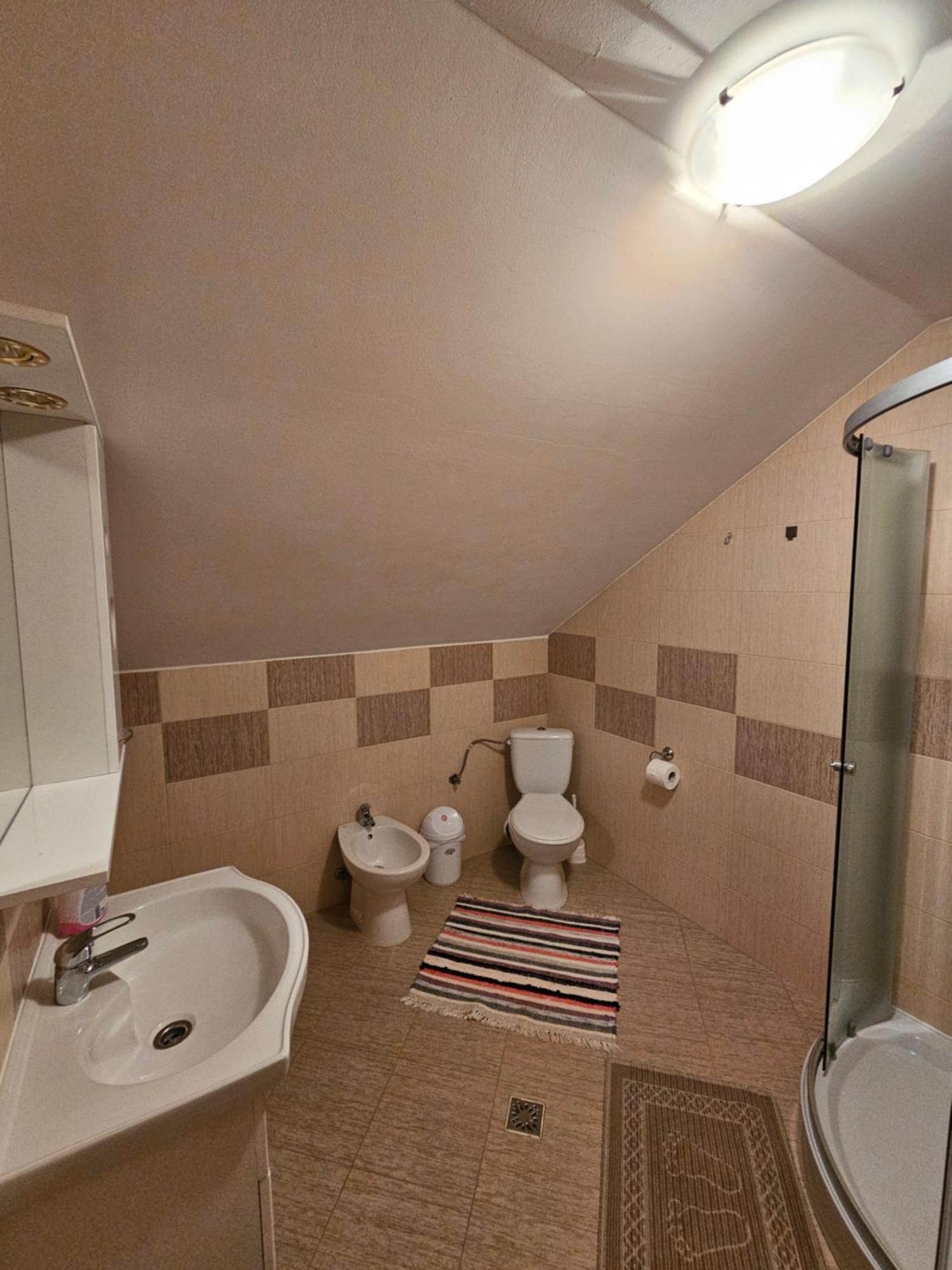 فيلا Casa Alba Borşa المظهر الخارجي الصورة