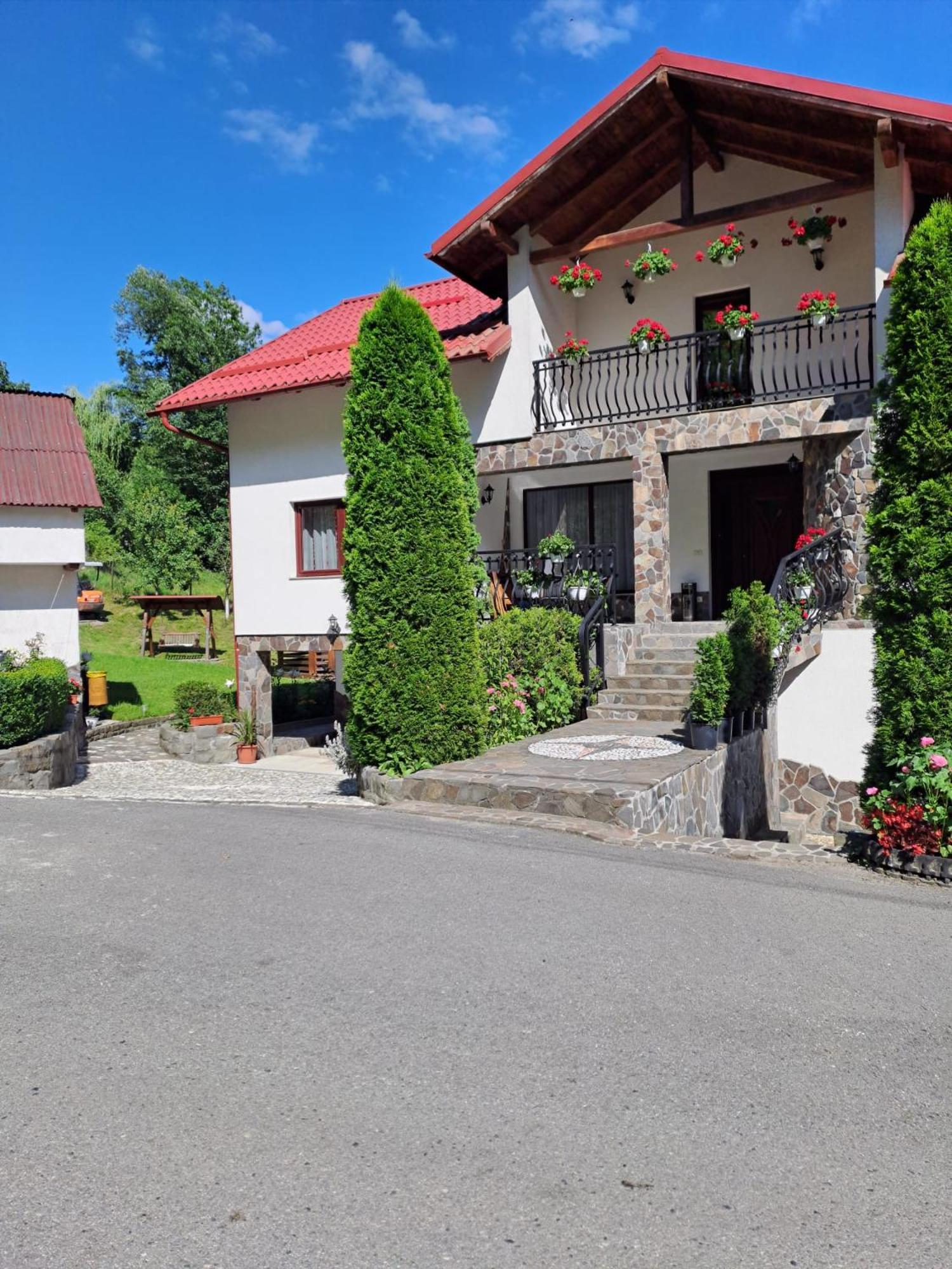 فيلا Casa Alba Borşa المظهر الخارجي الصورة