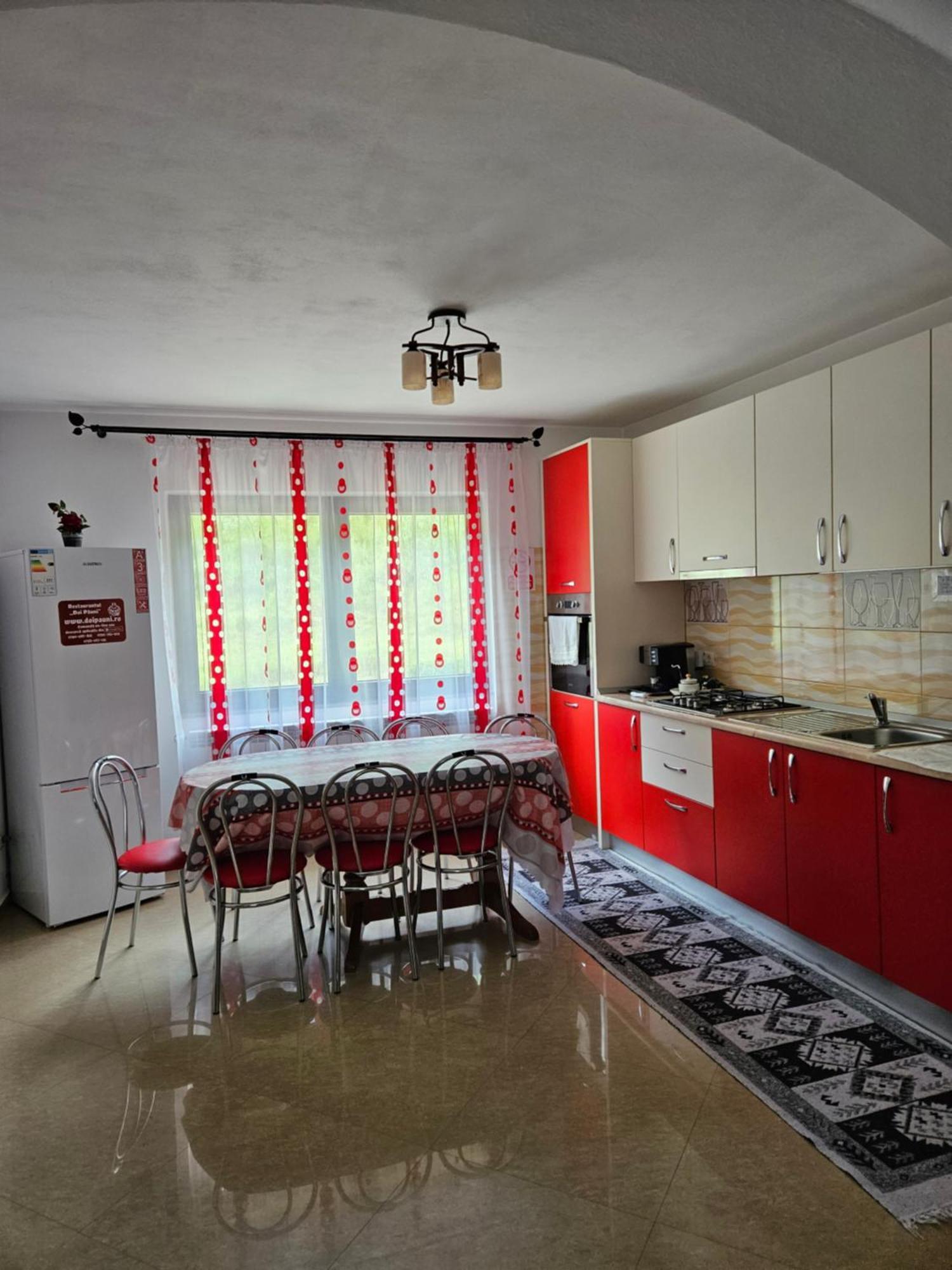 فيلا Casa Alba Borşa المظهر الخارجي الصورة