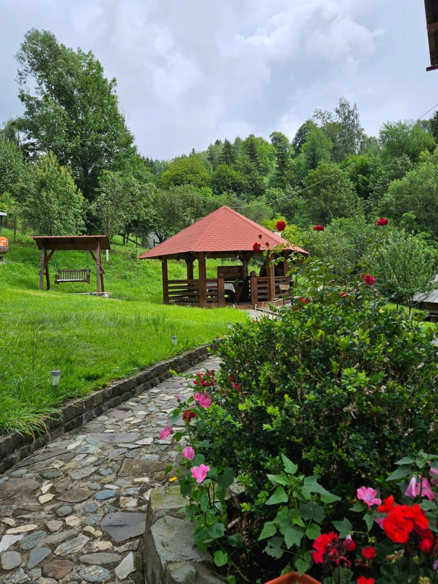 فيلا Casa Alba Borşa المظهر الخارجي الصورة