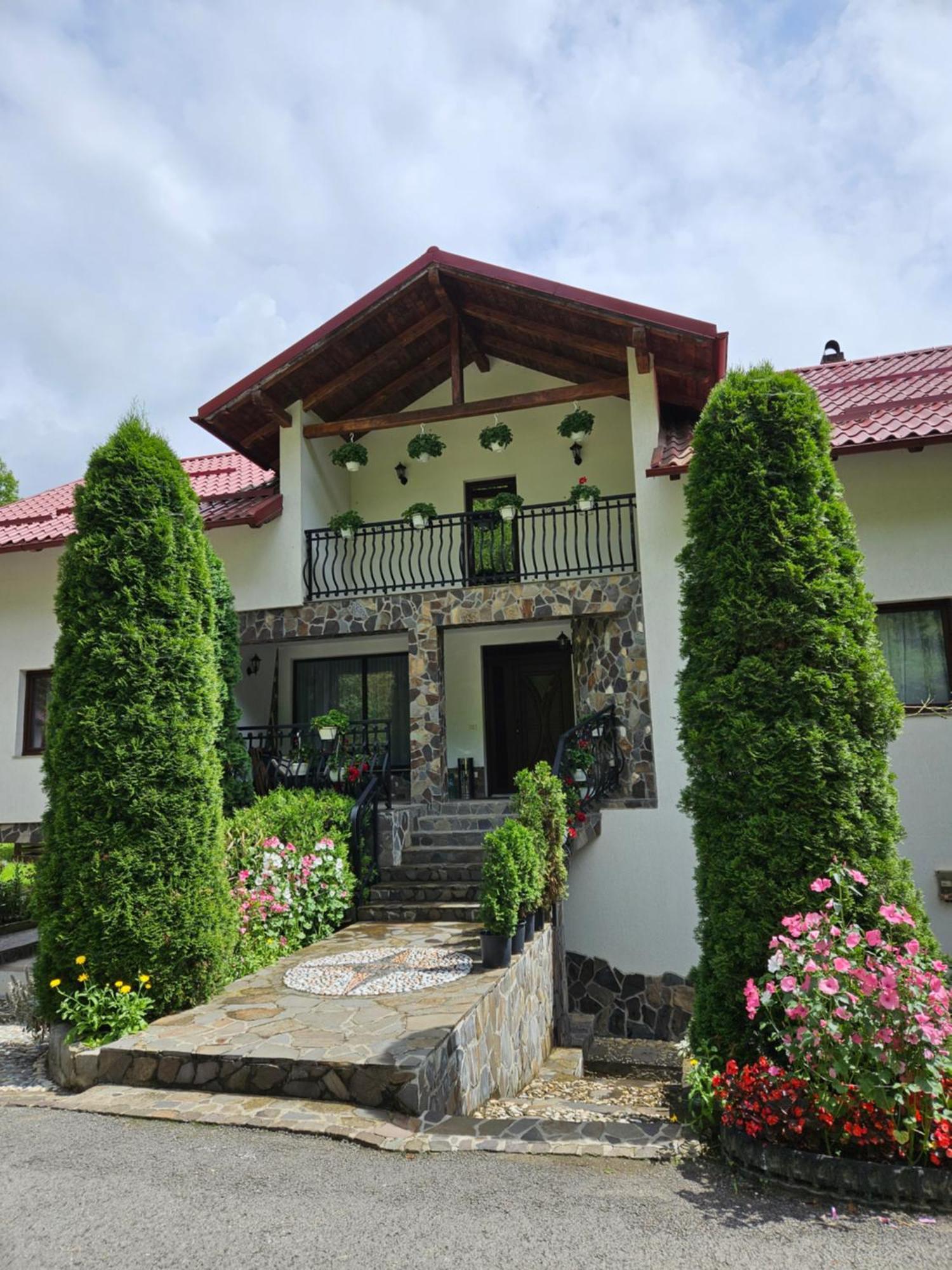 فيلا Casa Alba Borşa المظهر الخارجي الصورة